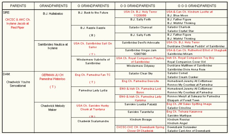 Ariel pedigree