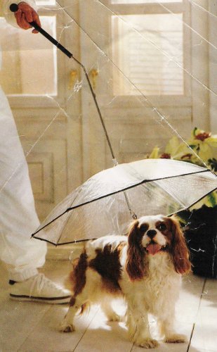 Bentley under umbrella