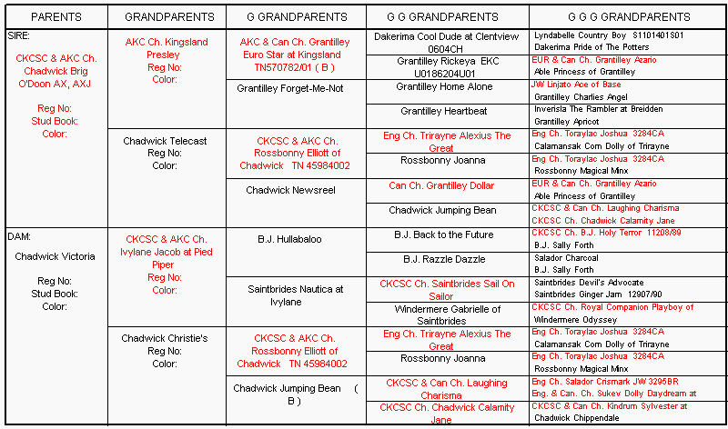Chadwick Candlelight pedigree