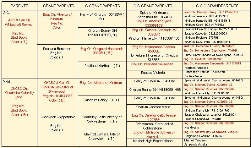 Chadwick Carbon Copy pedigree