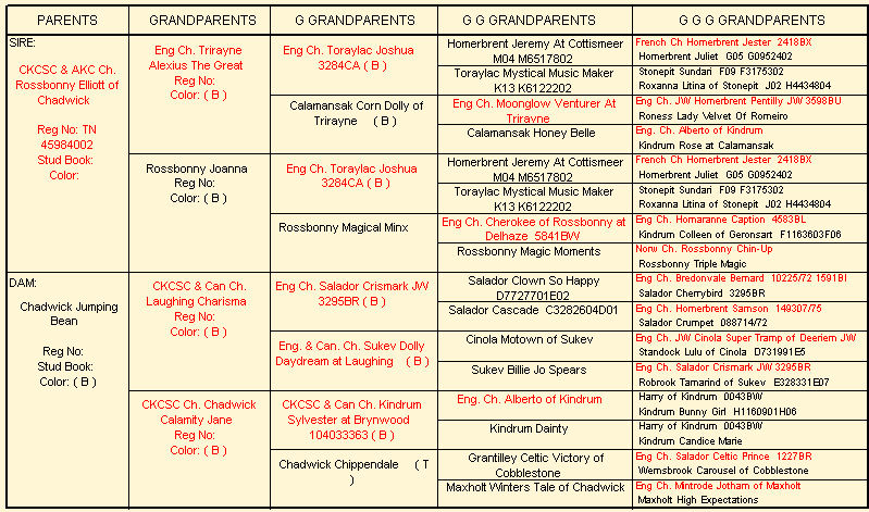 Chadwick Christie's pedigree