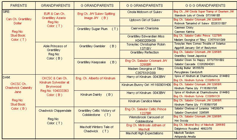 Chadwick Dollar & Cents pedigree