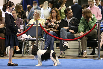 Hayley Long Beach Junior Showmanship pic