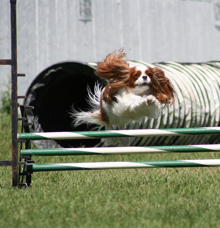 Minute jumping with tunnel behind