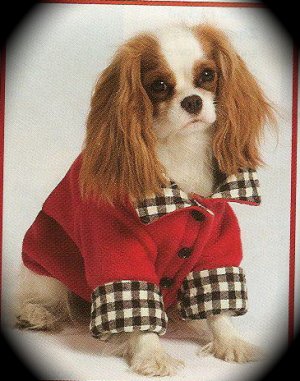 Penny in red checkered coat