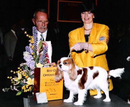 Chadwick Miss Moneypenny at show